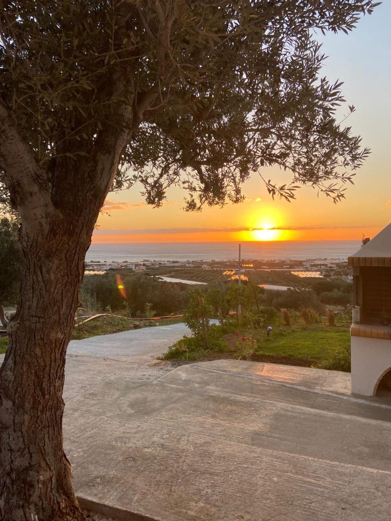 Casa Di Olive, All Seasons Accommodation Goudhouros 外观 照片